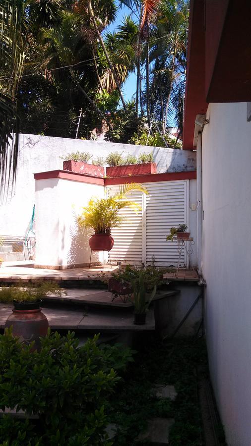 Comodita São Paulo Exterior foto